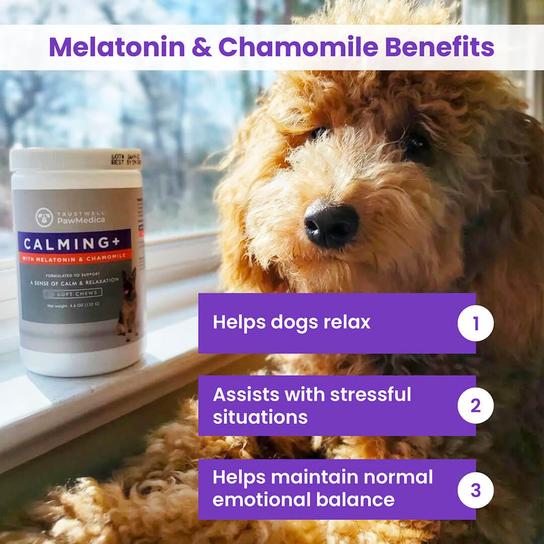 Calming Treats for Dogs