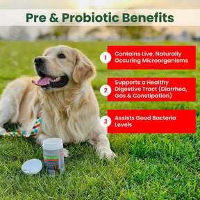 Dog Probiotics & Digestive Enzymes - (120ct)