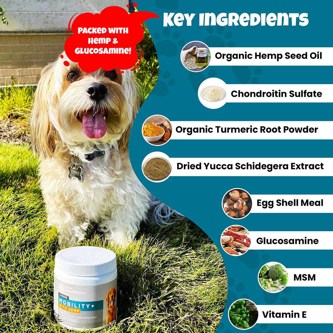 Glucosamine for Dogs + Hemp Mobility