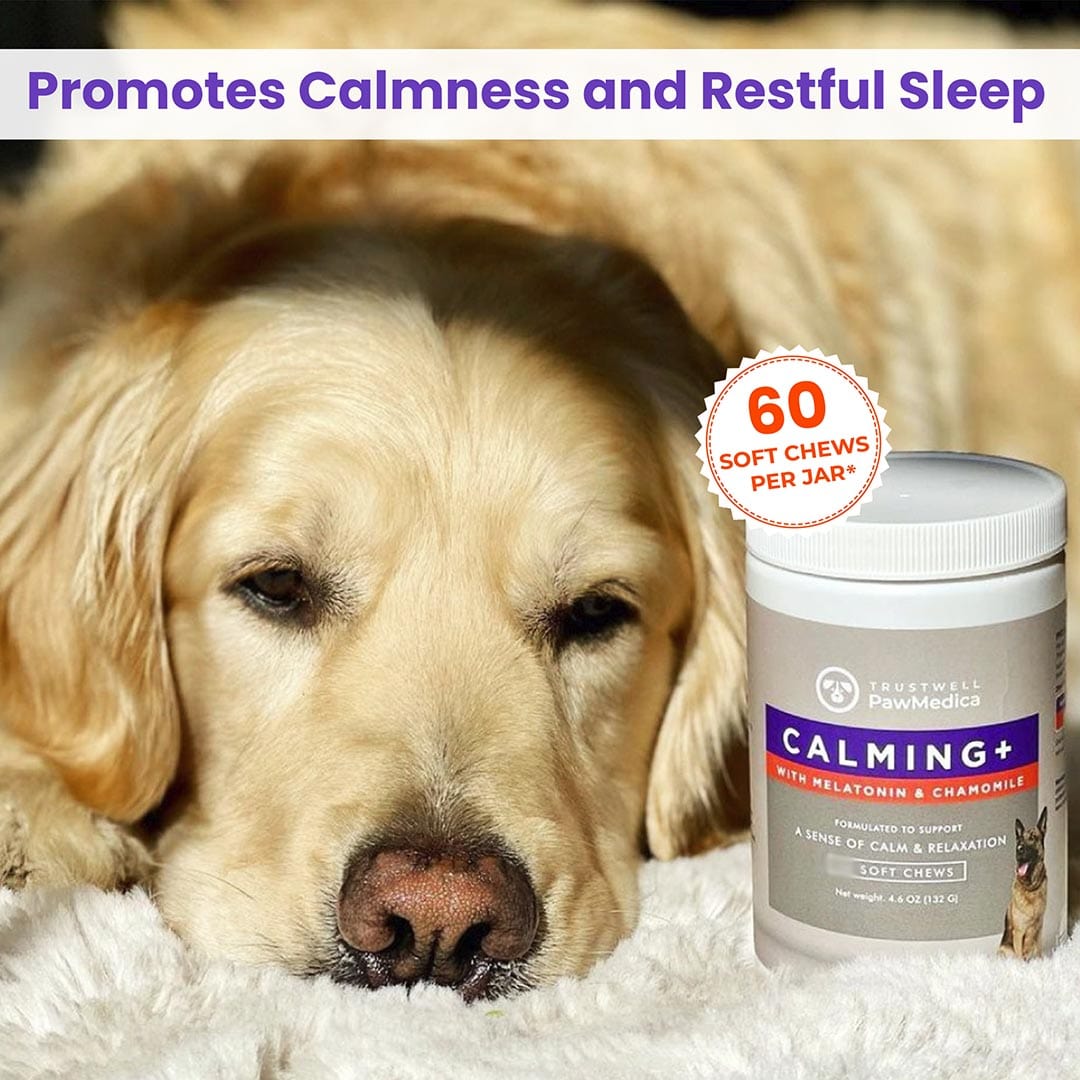 Calming Treats for Dogs