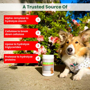 Dog Probiotics & Digestive Enzymes - (120ct)