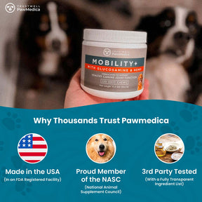 Glucosamine for Dogs + Hemp Mobility