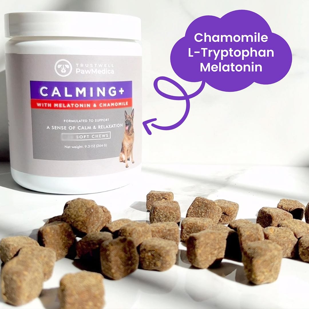 Calming Treats for Dogs