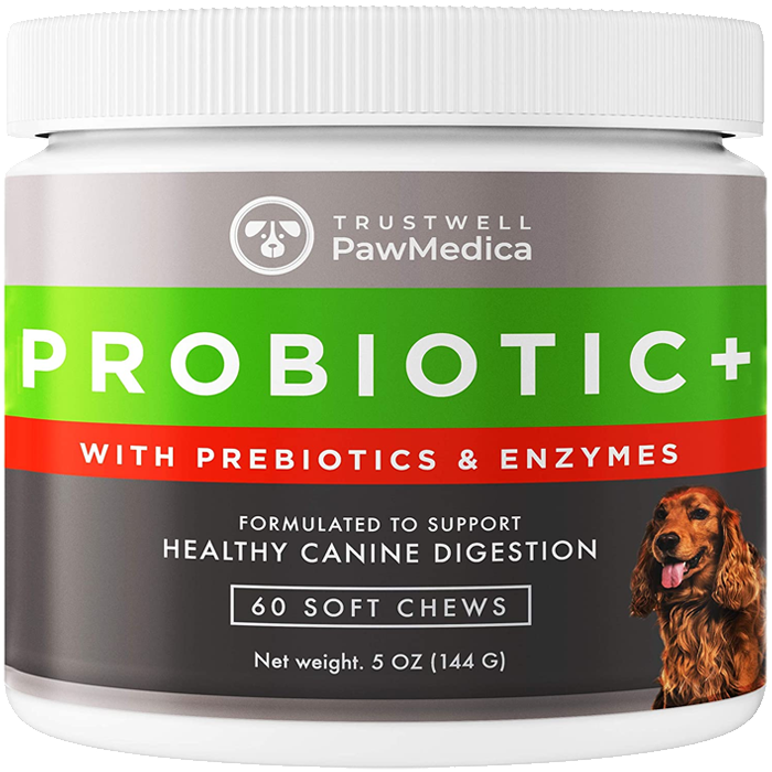 Veddelholzer dog probiotics to support the intestinal flora as a dietary  supplement with natural ingredients perfect dog accessory as a digestive